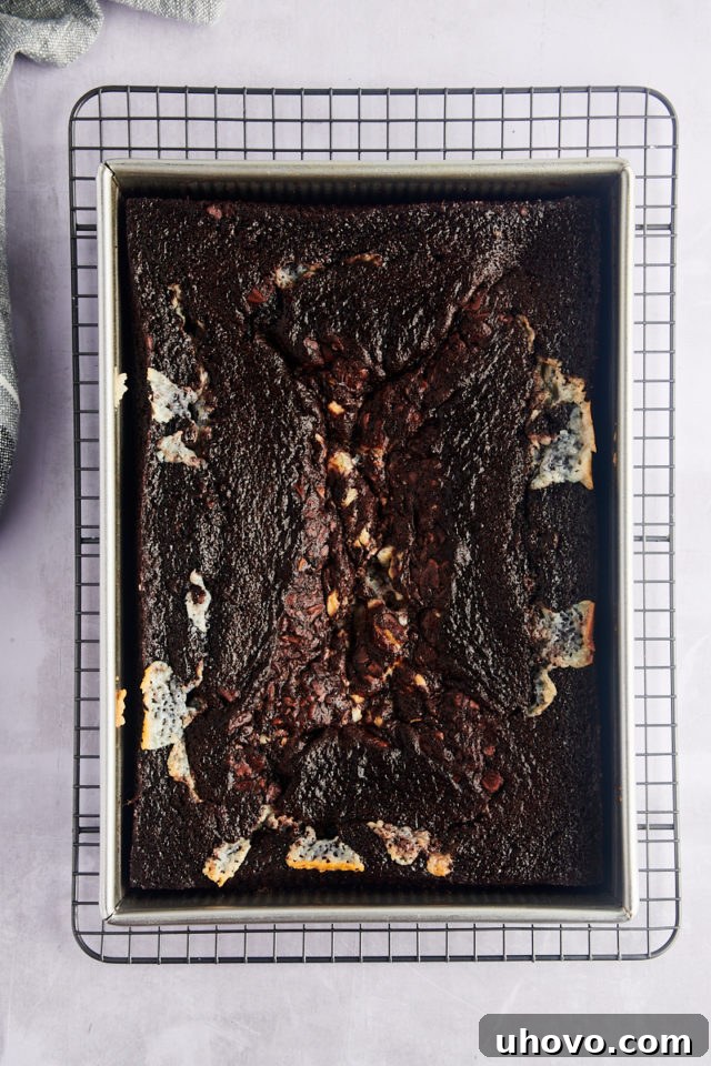 Overhead view of earthquake cake cooling in pan