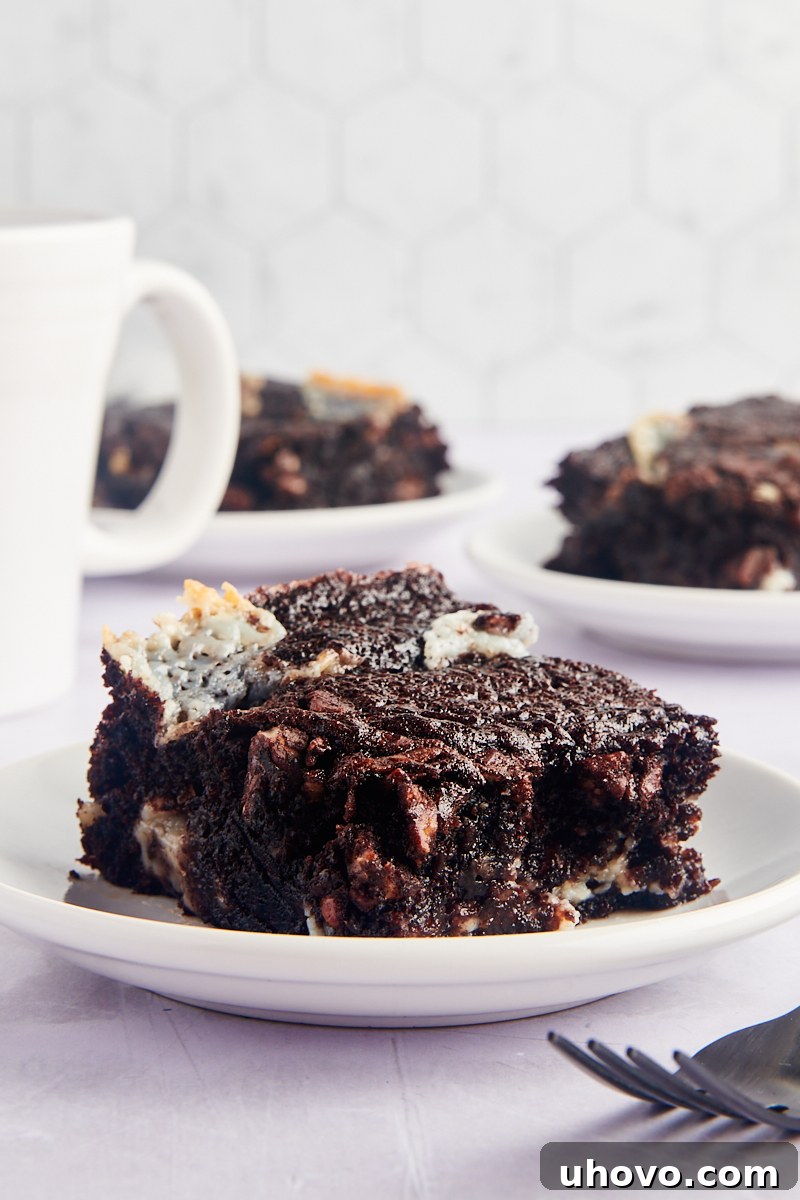 Earthquake cake on white plate
