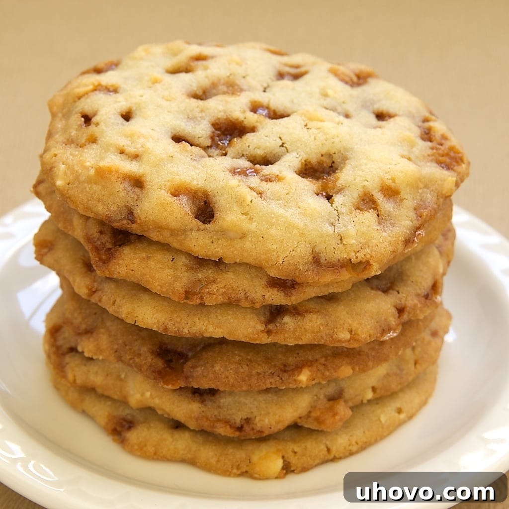 Peanut Toffee Cookies are packed with toffee bits and roasted peanuts for a soft, chewy, sweet treat. - Bake or Break