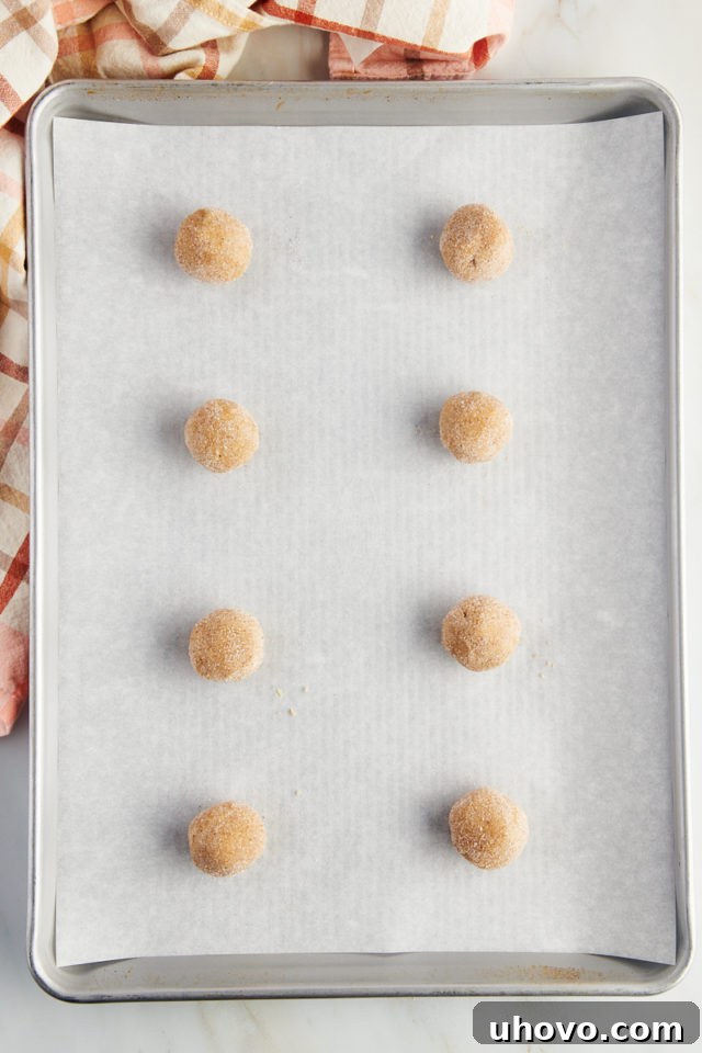 Overhead view of uniform cookie dough balls lined up on a parchment-lined baking sheet, each ready to be rolled in spiced sugar.