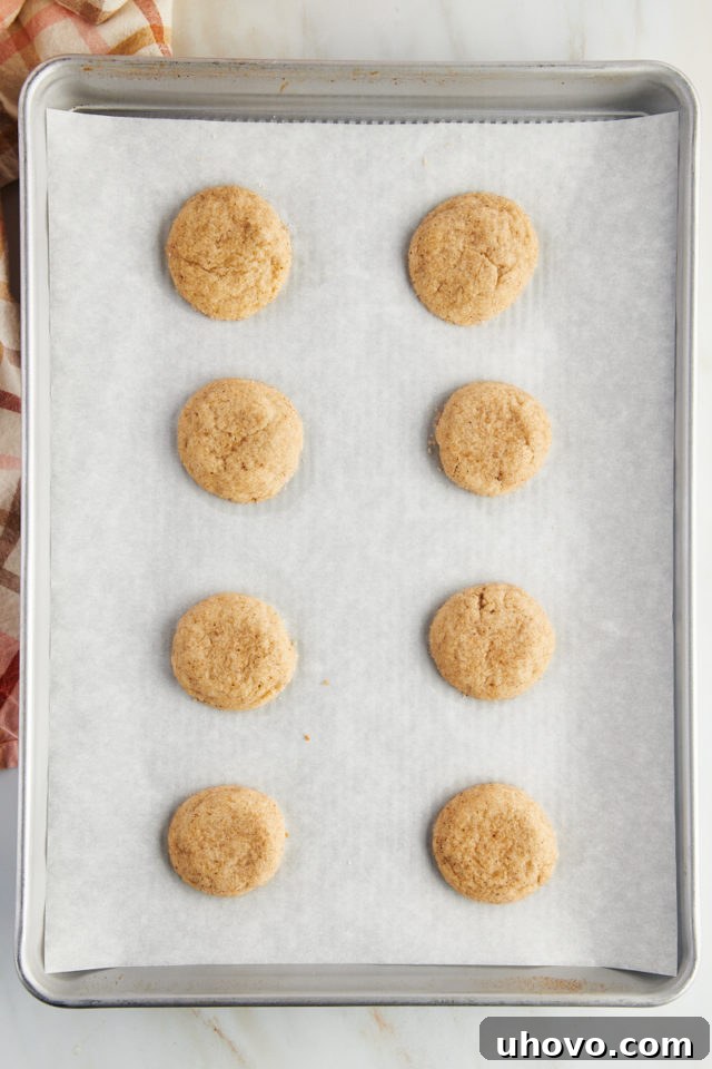 Overhead view of raw chai sugar cookie dough balls, generously coated in spiced sugar, evenly spaced on a parchment-lined baking sheet, ready for the oven.