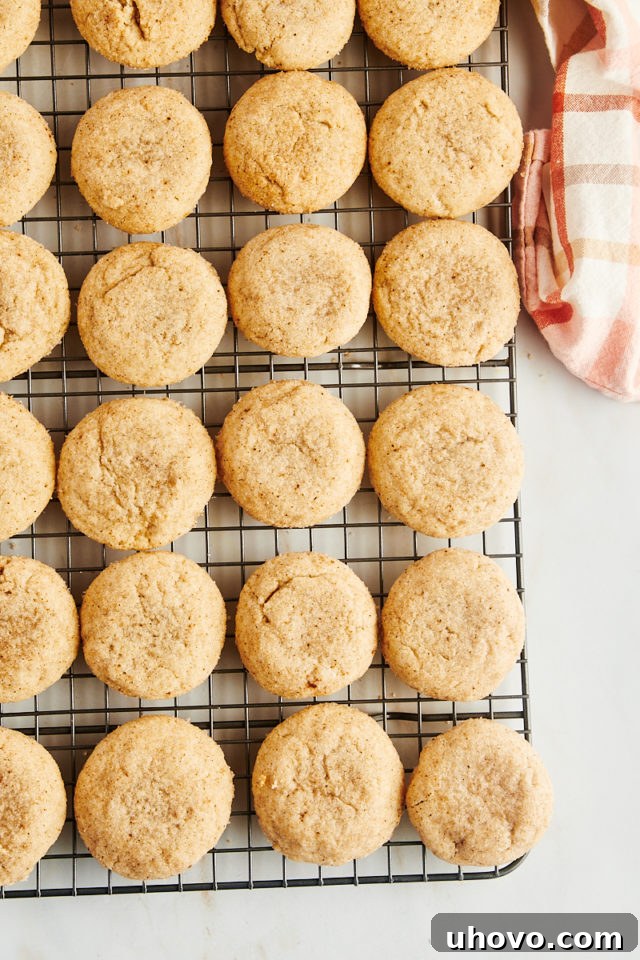 Overhead view of freshly baked chai sugar cookies cooling on a wire rack, showcasing their golden-brown edges and spiced sugar coating.