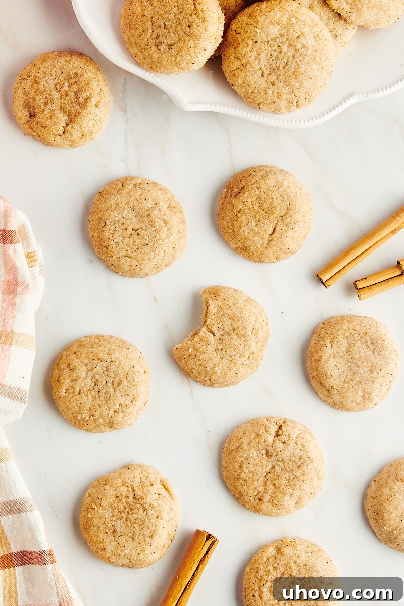A stunning arrangement of freshly baked chai sugar cookies artfully placed on a countertop, with some on a rustic plate.