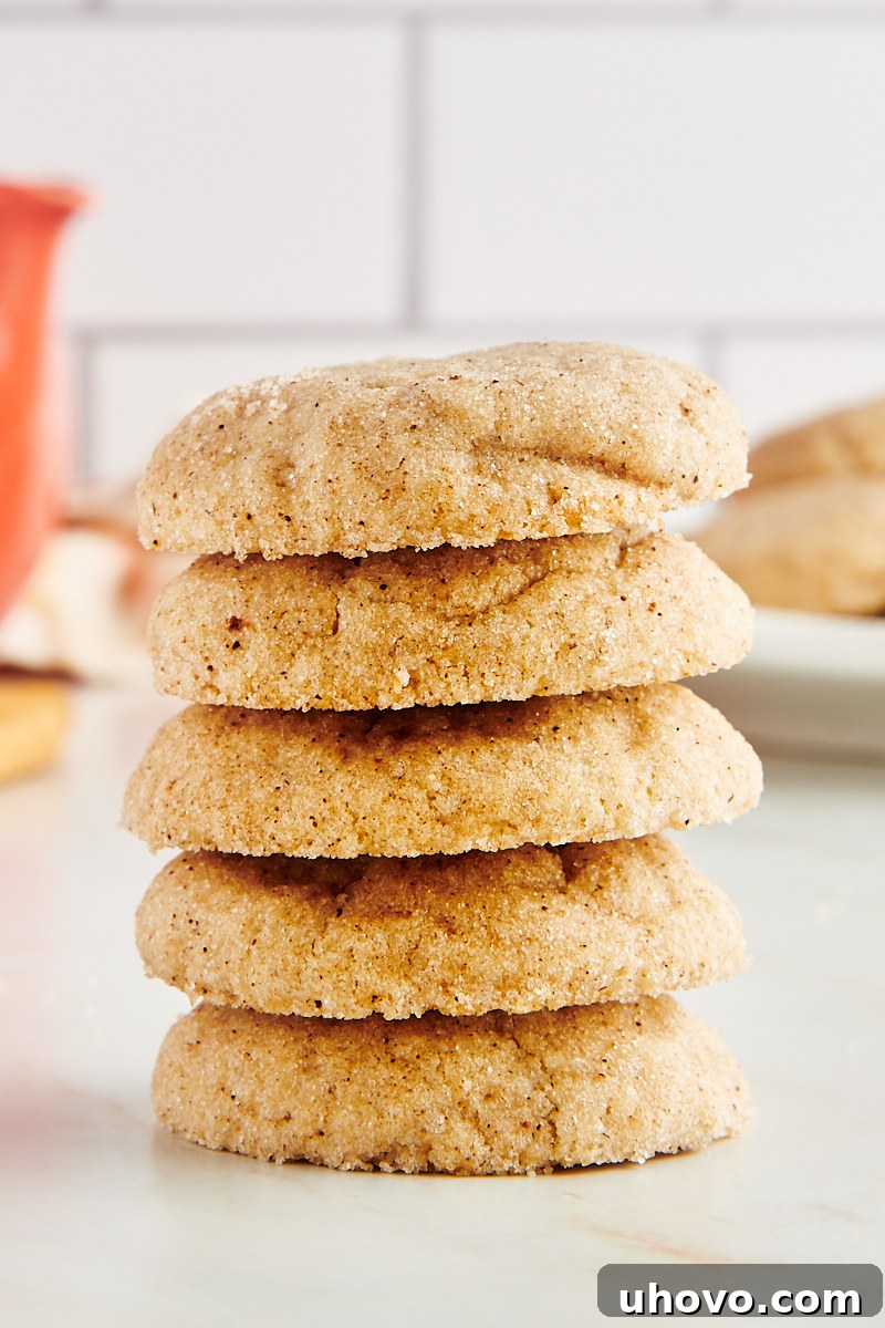 A perfectly stacked pile of five golden-brown chai sugar cookies, showcasing their inviting texture and spiced sugar coating, on a light countertop.
