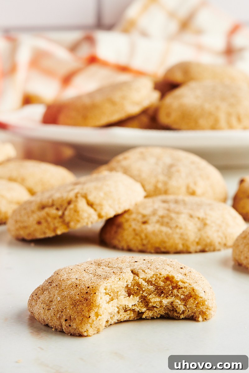 A close-up view of a chai sugar cookie with a bite taken out, revealing its soft, chewy interior and the delicate texture.