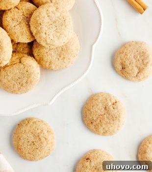Overhead view of chai sugar cookies on counter and platter