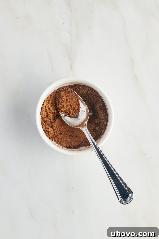 Overhead view of a small bowl filled with a blend of ground chai spices, with a measuring spoon resting in it.