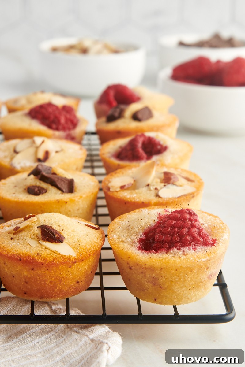 financiers on a wire rack
