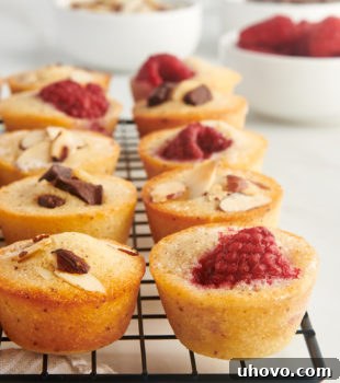 financiers on a wire rack