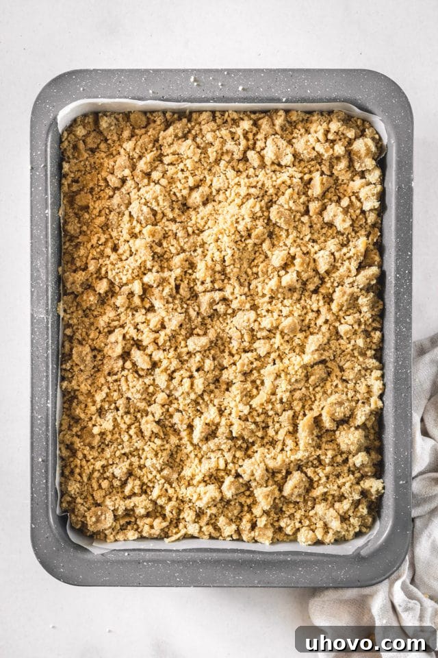 Overhead view of the unbaked crumb cake, with a generous layer of buttery cinnamon-sugar topping sprinkled over the smooth cake batter in the pan.