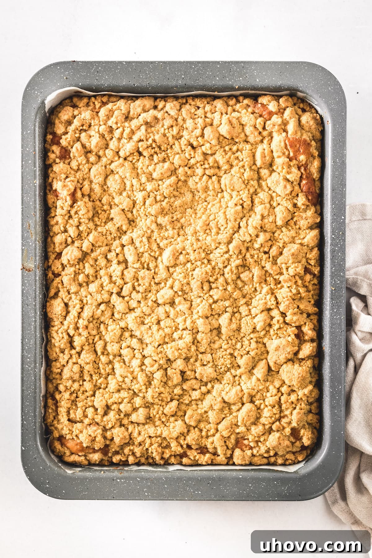 Overhead view of the freshly baked classic crumb cake in its baking pan, showing a golden crust and ample crumb topping.