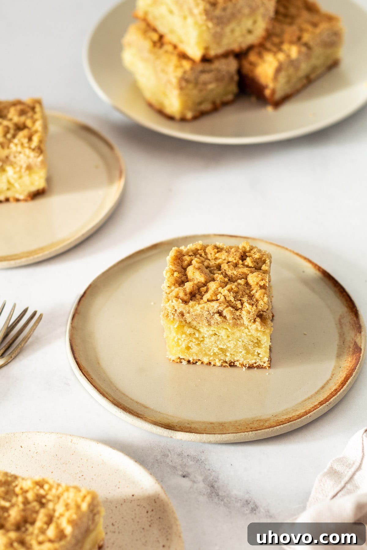 Multiple squares of delicious crumb cake, perfectly baked, presented on various plates.
