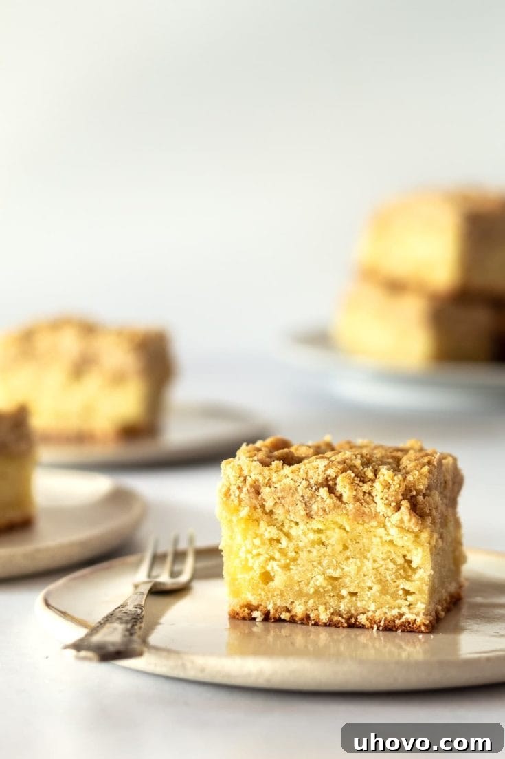 Side view of a generous slice of crumb cake on a plate with a fork, showcasing its perfect layers and crumbly top.