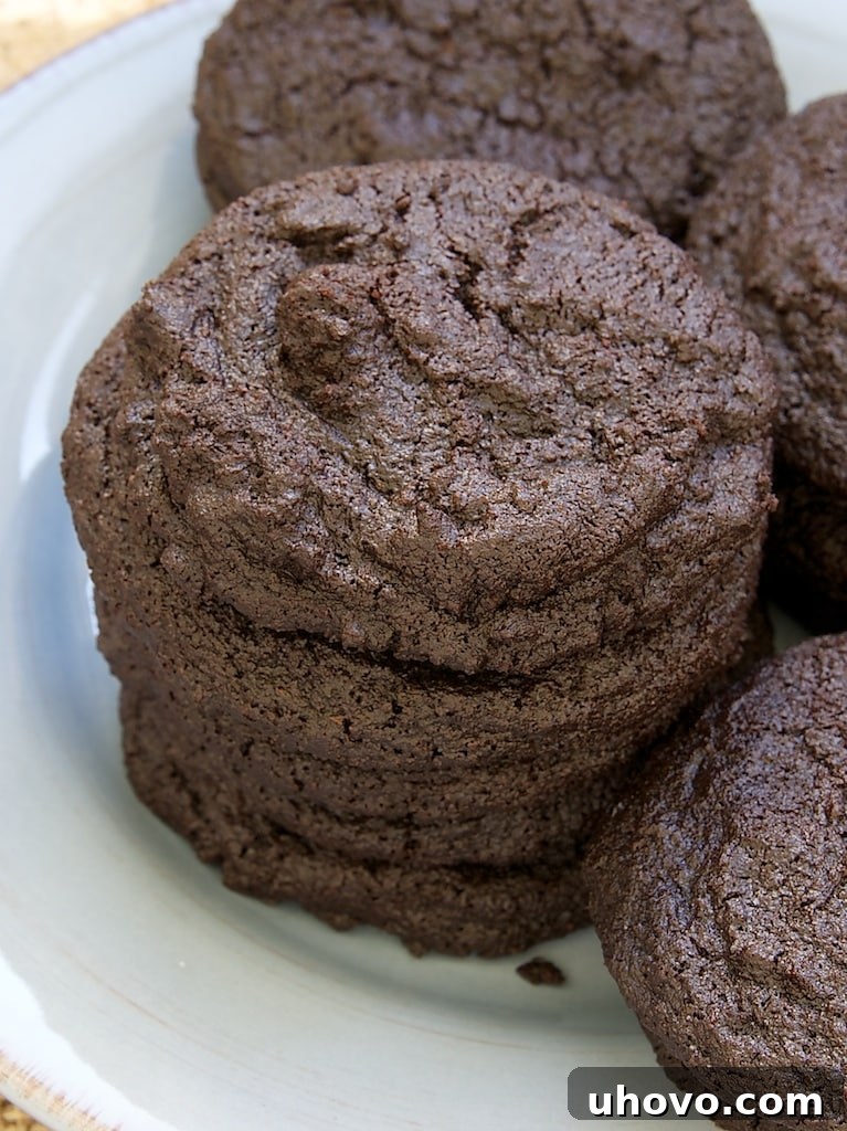 Deep, dark, and incredibly rich Chocolate-Chocolate Cookies, the ultimate treat for true chocolate lovers. These cookies are a decadent ode to fudgy brownies with a unique sweet and salty twist.