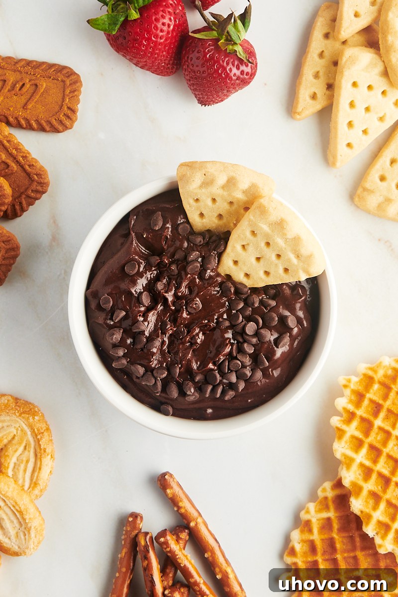 An inviting overhead view of a large bowl of luscious brownie batter dip, gracefully surrounded by an enticing selection of colorful cookies, savory pretzels, and vibrant fresh fruit.