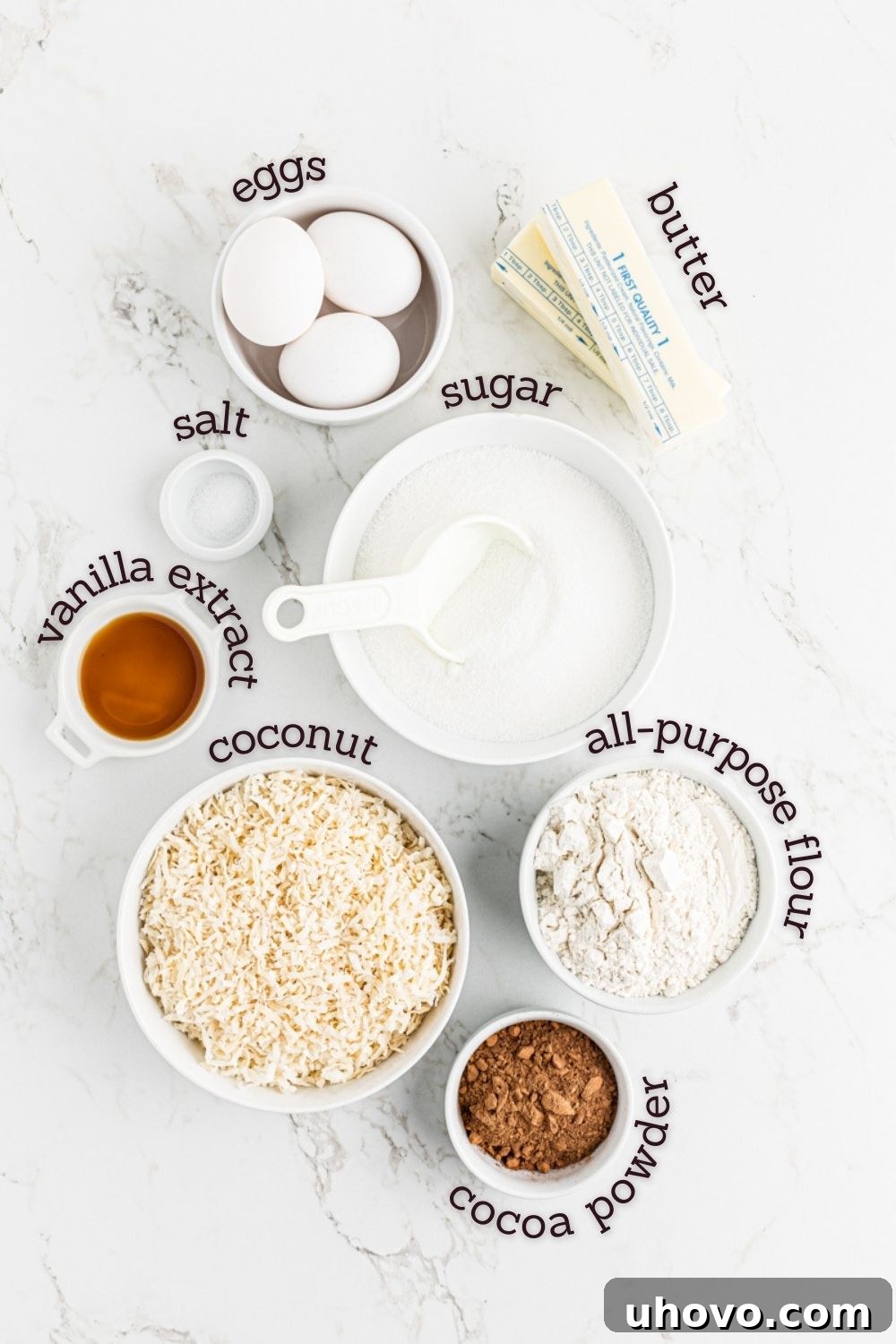Overhead view of all the fresh ingredients for making Black-Bottom Coconut Bars laid out on a clean surface