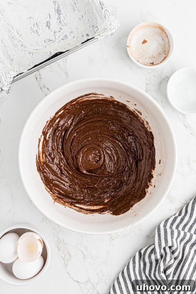 Overhead view of the fully mixed brownie batter in a mixing bowl, ready to be spread