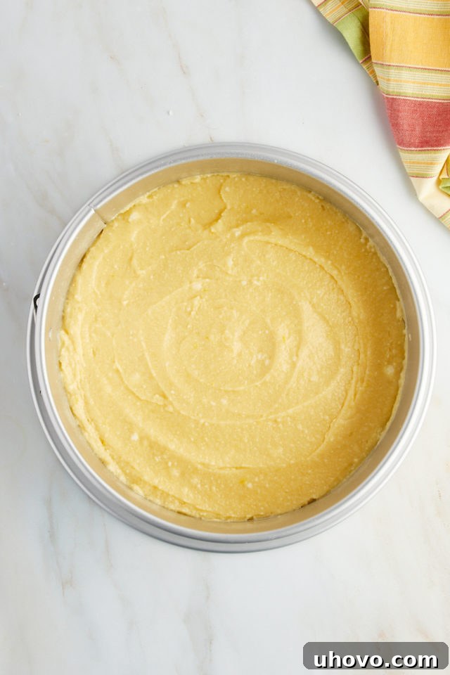 overhead view of lemon ricotta cake batter evenly spread into a greased springform cake pan, ready for baking