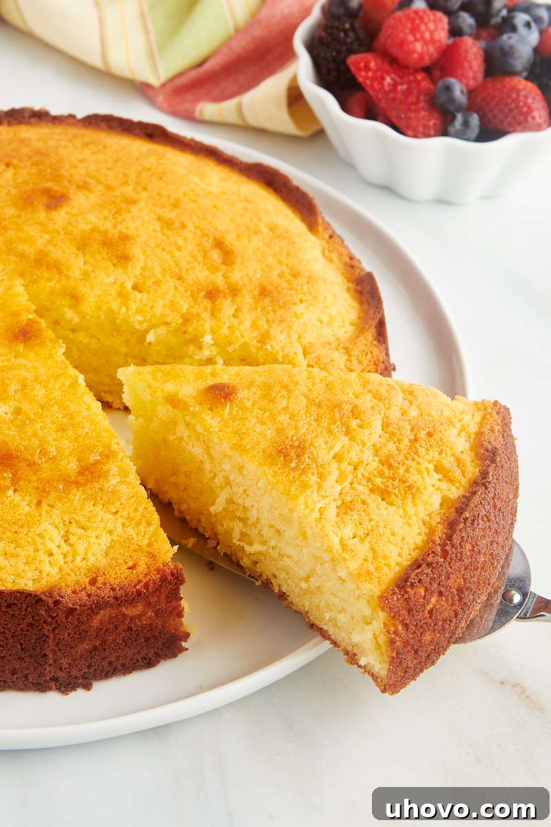 a slice of lemon ricotta cake on a cake server, being carefully pulled away from the main cake, ready to be enjoyed