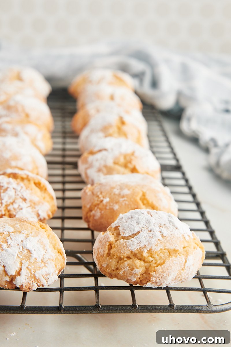 Amaretti cookies neatly arranged on a wire cooling rack, showcasing their rustic charm and preparing them for optimal crispness.