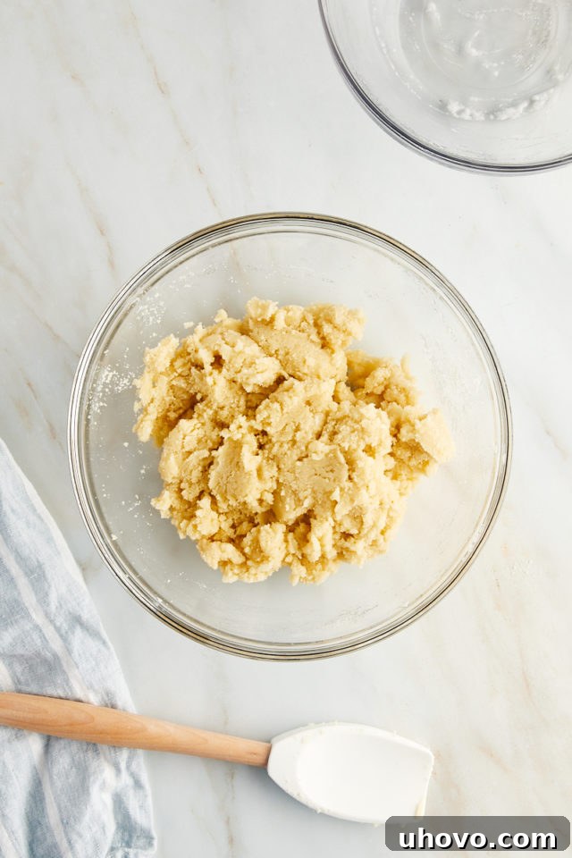 Overhead view of Amaretti cookie dough after the egg white mixture has been folded into the dry ingredients, showing its sticky consistency.