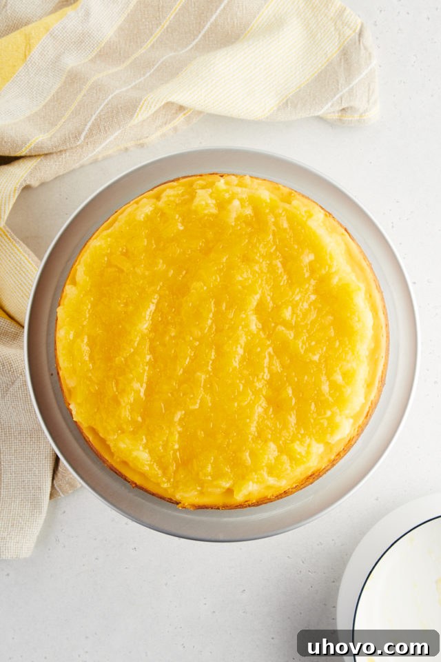 An overhead view of a beautifully finished whole pineapple cheesecake, presented elegantly, ready to be sliced and served.