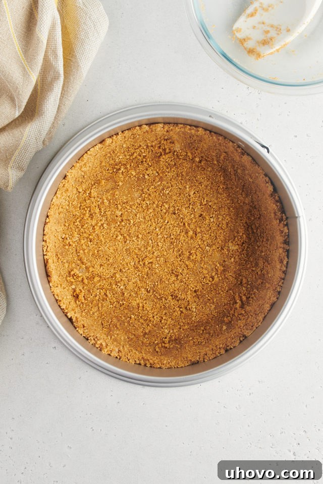 The golden brown graham cracker crust, perfectly pressed into a springform pan, ready to hold the luscious cheesecake filling, showcased from an overhead perspective.