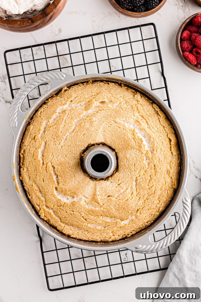 A freshly baked Angel Food Cake, golden brown and puffed high, just out of the oven before inversion.