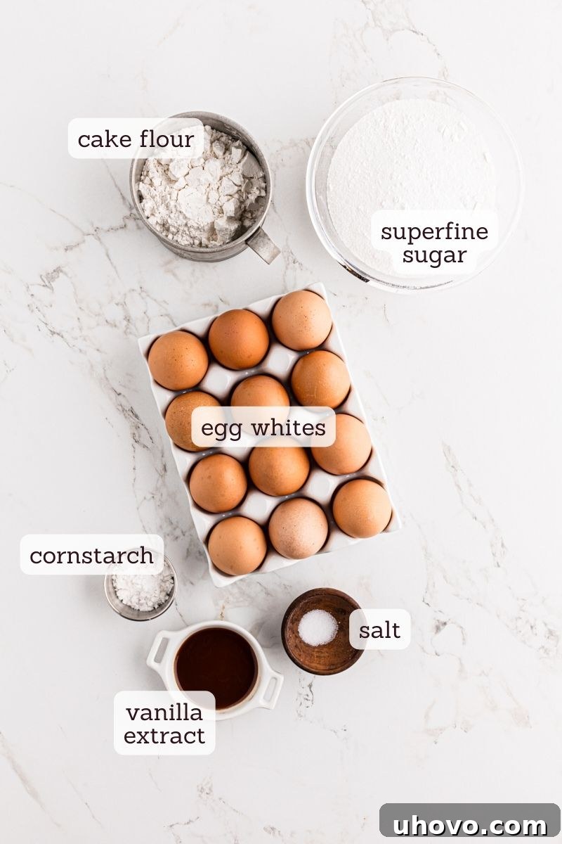 An overhead shot showcasing all the essential ingredients meticulously laid out for preparing a perfect Angel Food Cake.