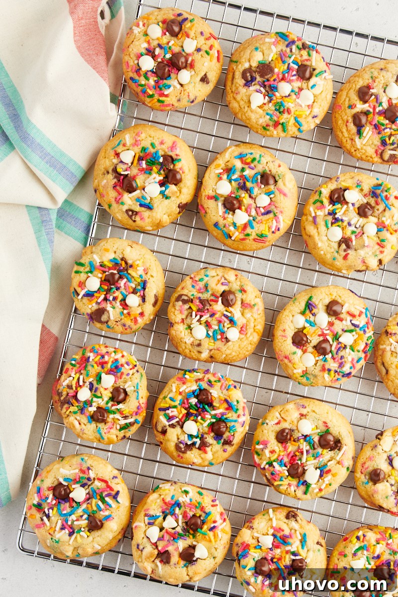 A beautiful overhead view of a batch of freshly baked sprinkle chocolate chip cookies, arranged neatly on a wire cooling rack, allowing them to fully set and achieve their perfect soft and chewy texture.