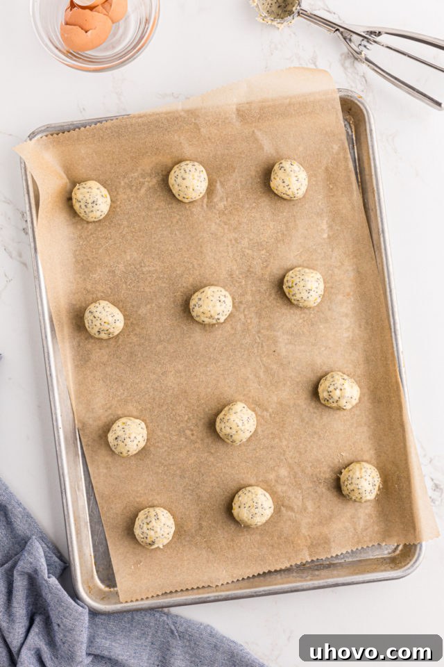 Overhead view of evenly spaced lemon poppy seed cookie dough balls on a parchment-lined baking sheet, ready for the oven.