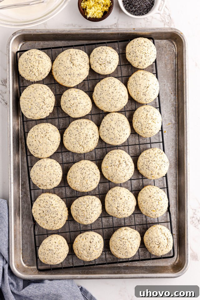 Overhead view of freshly baked lemon poppy seed cookies cooling on a wire rack, with light golden-brown edges.