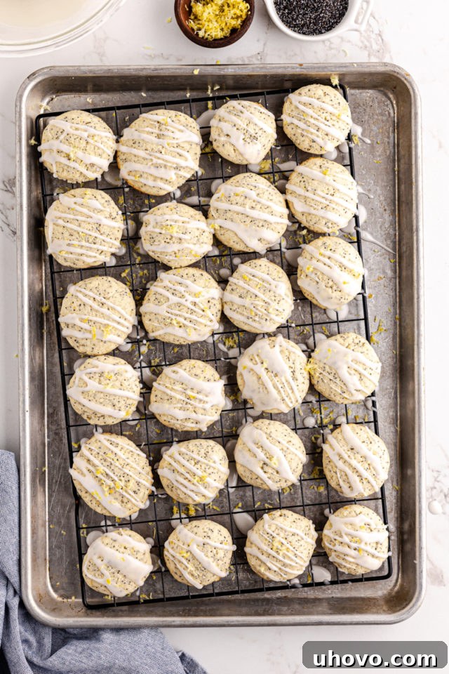 Overhead view of glazed lemon poppy seed cookies neatly arranged on a wire rack placed over a baking sheet to catch drips.