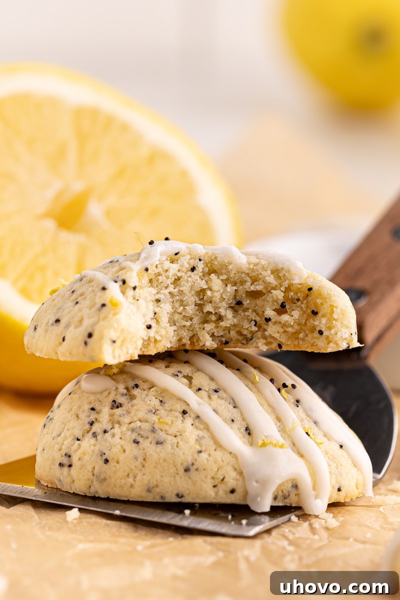 A perfectly baked lemon poppy seed cookie, cut in half to show its soft, tender interior, resting on another whole cookie.