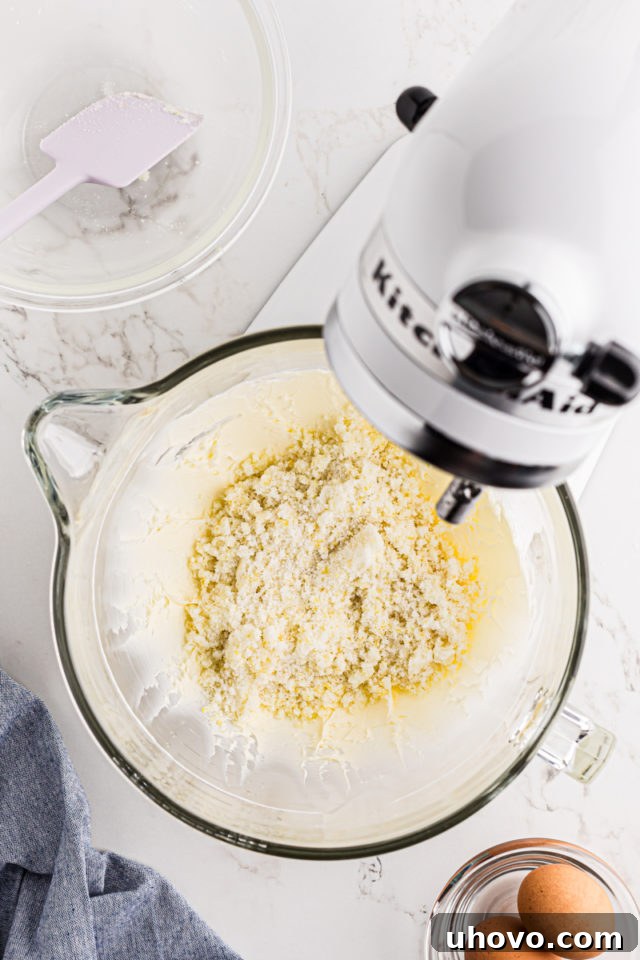 Overhead view of the lemon-infused sugar mixture being added to creamed softened butter in the bowl of a stand mixer.