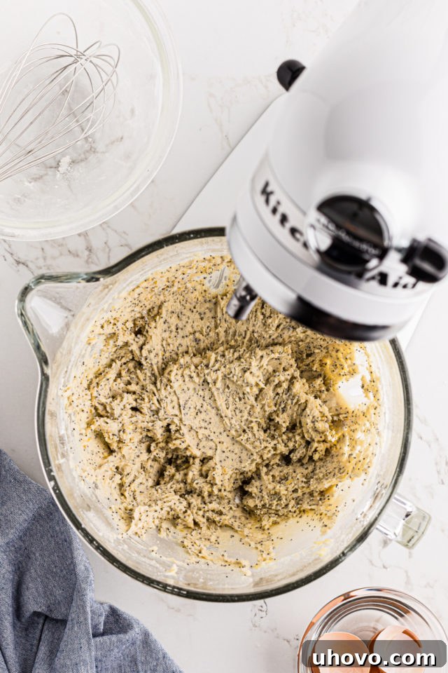 Overhead view of soft lemon poppy seed cookie dough in the bowl of a stand mixer, perfectly combined.
