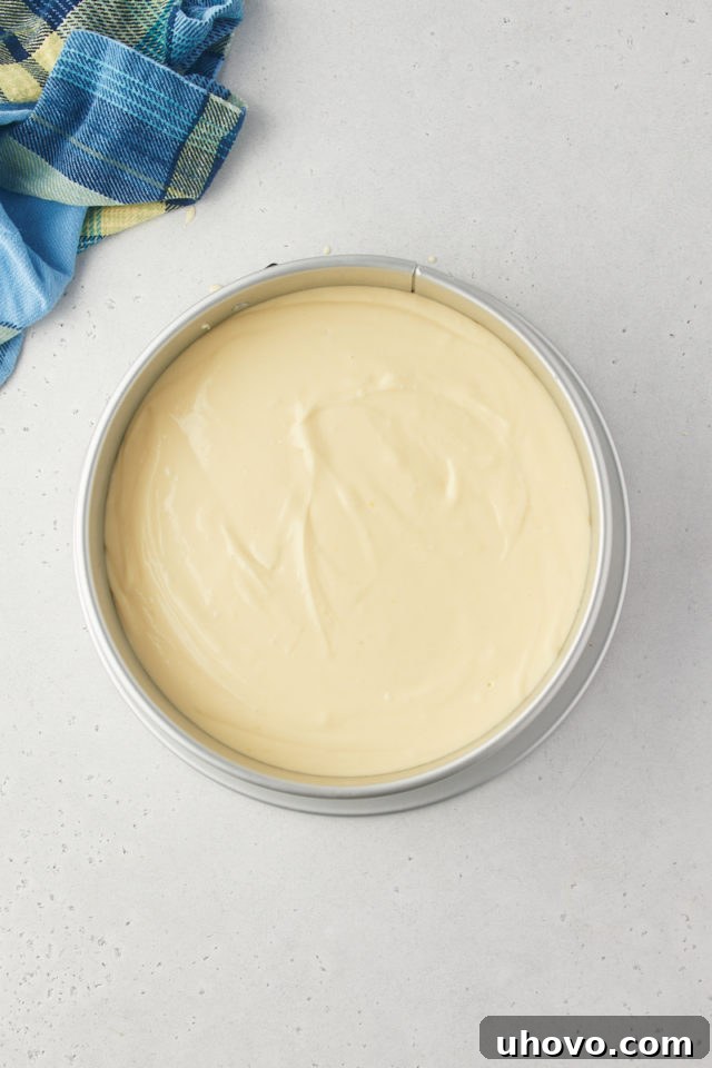 Overhead view of the lemon cheesecake filling spread evenly on top of the baked graham cracker crust in a springform pan.