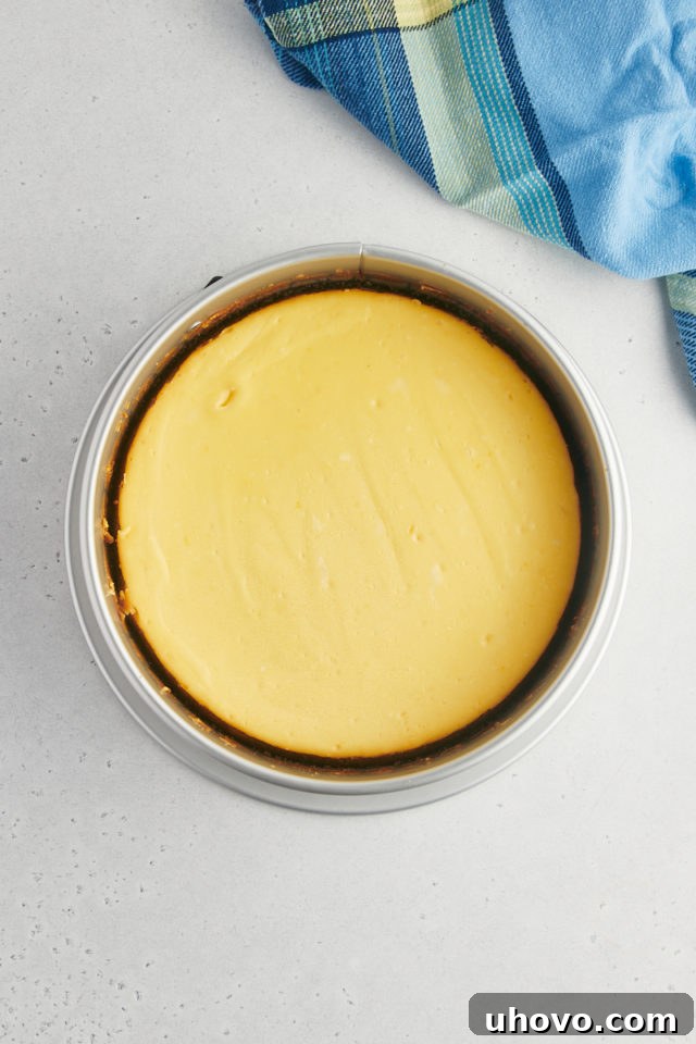 Overhead view of a freshly baked lemon cheesecake, golden around the edges and set in the center.