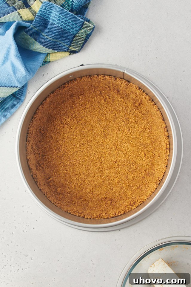 Overhead view of the graham cracker crust evenly pressed into the bottom of a 9-inch springform pan.