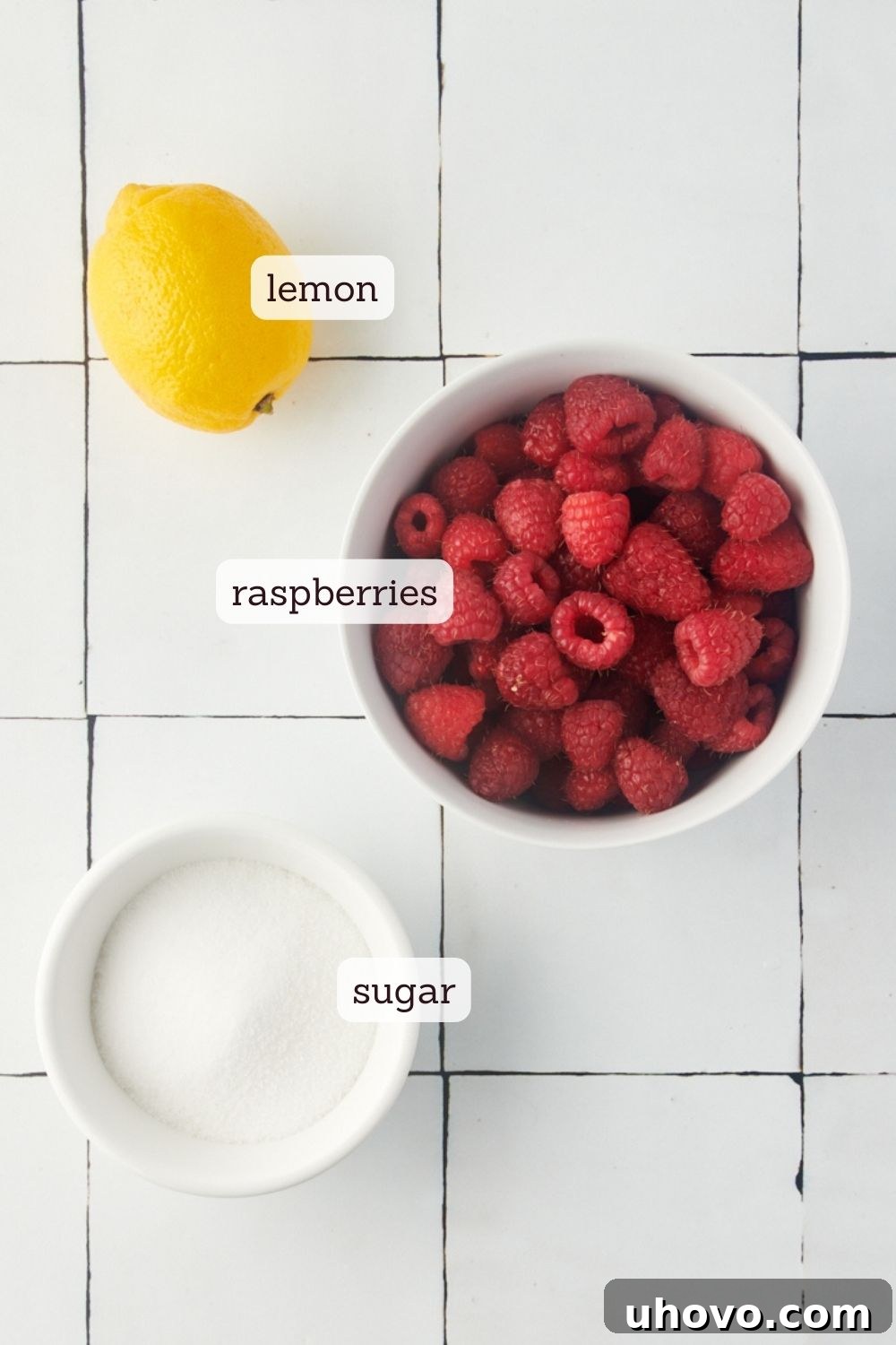 Overhead view of fresh raspberries, granulated sugar, and lemon wedges laid out as ingredients for raspberry coulis.