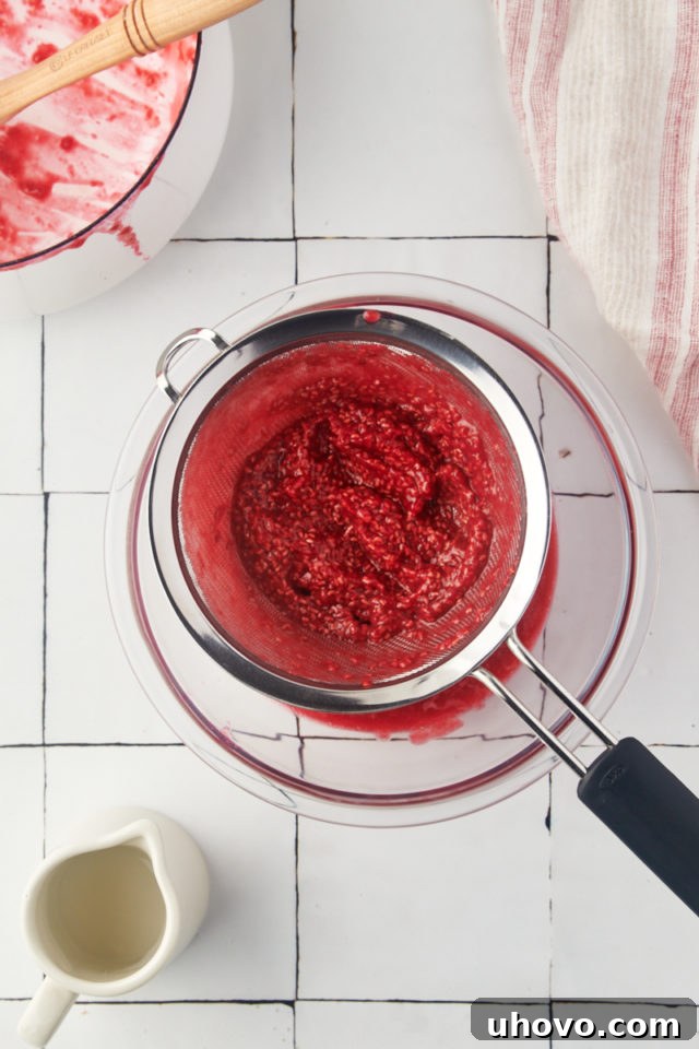 Close-up overhead view of raspberry seeds remaining in a sieve after the coulis has been pressed through.