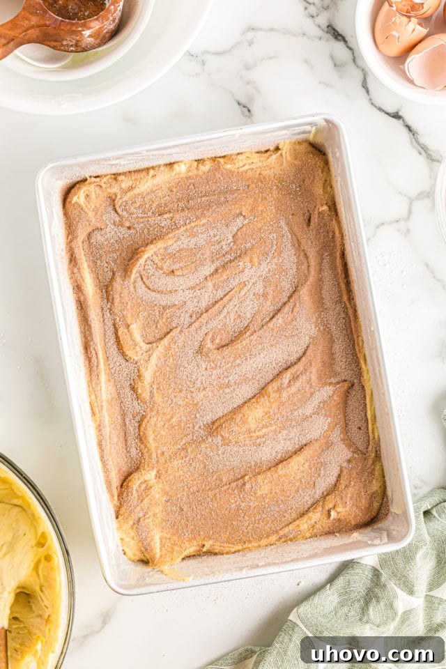 Overhead view of the cocoa, cinnamon, and sugar swirl mixture delicately sprinkled over a layer of coffee cake batter in a baking pan.
