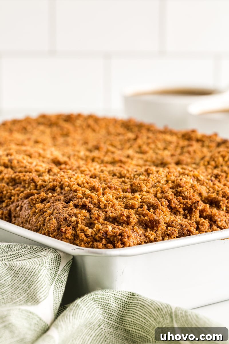 Close up of a beautifully baked sour cream coffee cake with its crumb topping, still in a baking pan, showing its golden-brown crust and moist texture.