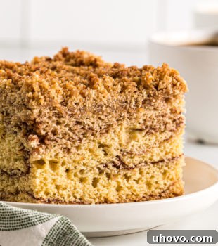 Side view of sour cream coffee cake on a plate, showing layers of cinnamon and chocolate.