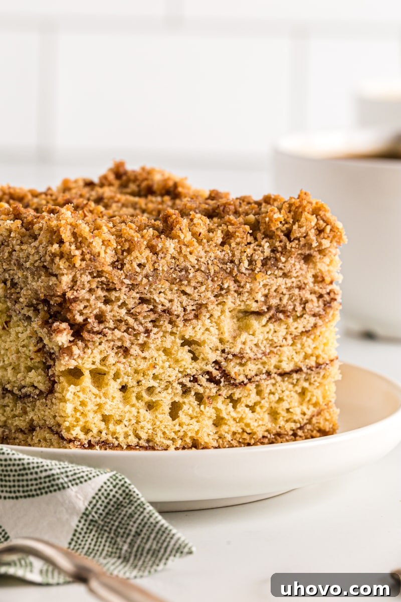 Side view of a perfectly baked slice of sour cream coffee cake on a white plate, showing its beautiful layers of cinnamon and chocolate swirl.