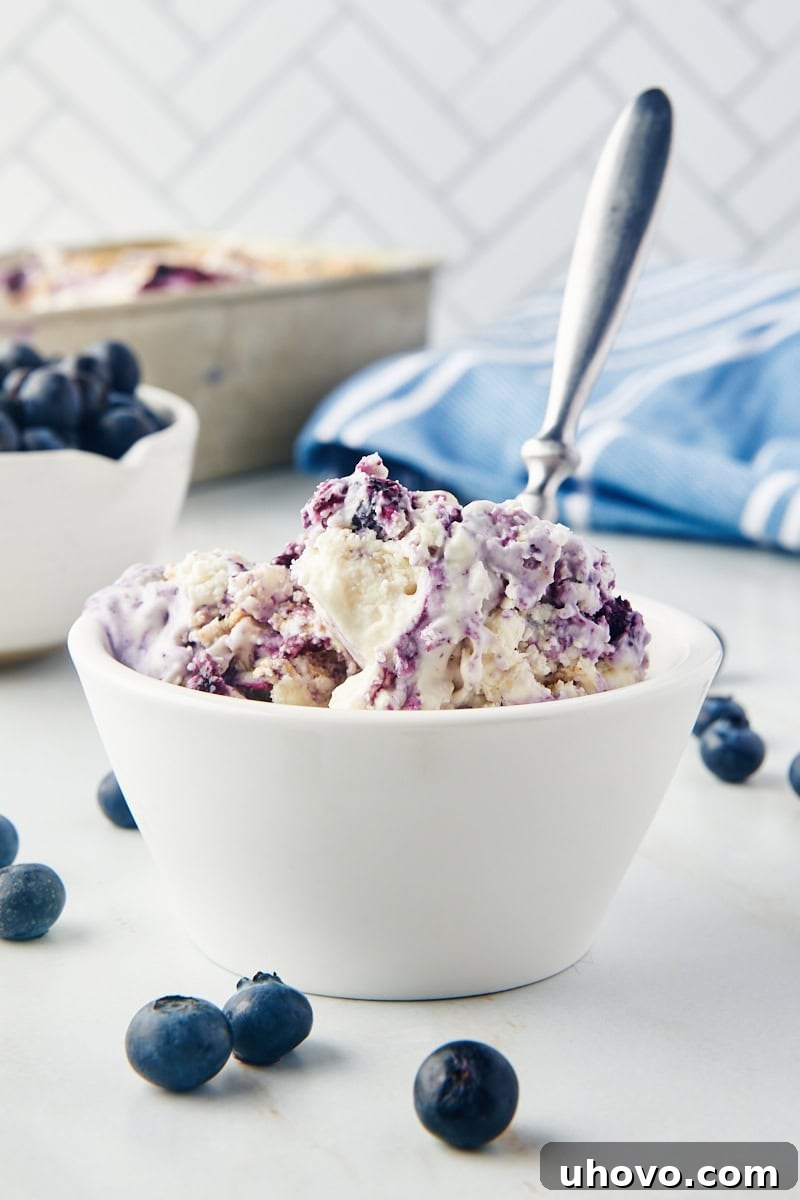 Scoops of vibrant homemade Blueberry Cheesecake Ice Cream in a white bowl, with fresh blueberries and more ice cream in the background, showcasing its creamy texture and beautiful swirls.