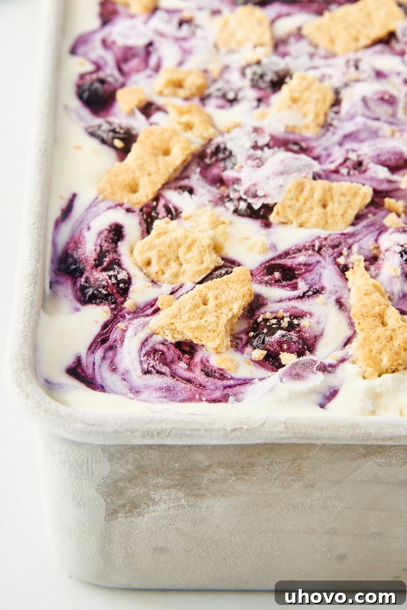 A close-up view of the set Blueberry Cheesecake Ice Cream in a metal loaf pan, highlighting the creamy texture and beautiful purple swirls of compote and crunchy graham cracker pieces.