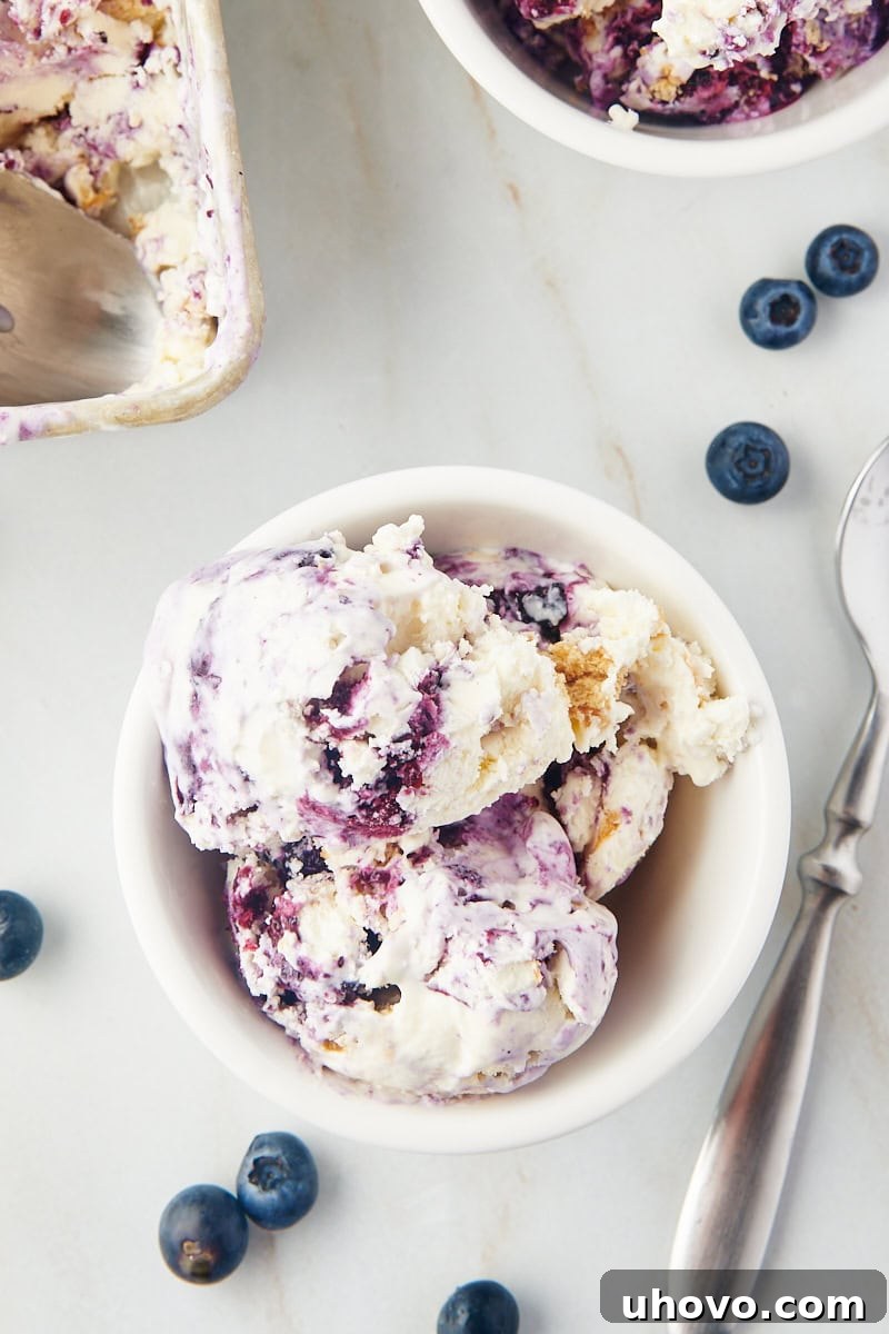 Overhead shot of a white bowl filled with Blueberry Cheesecake Ice Cream, garnished with fresh blueberries scattered around the bowl.