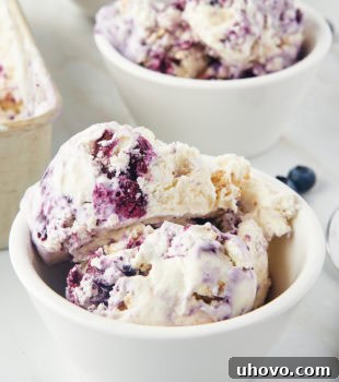 A bowl of creamy blueberry cheesecake ice cream, beautifully swirled with compote, with another bowl and fresh blueberries in the background.