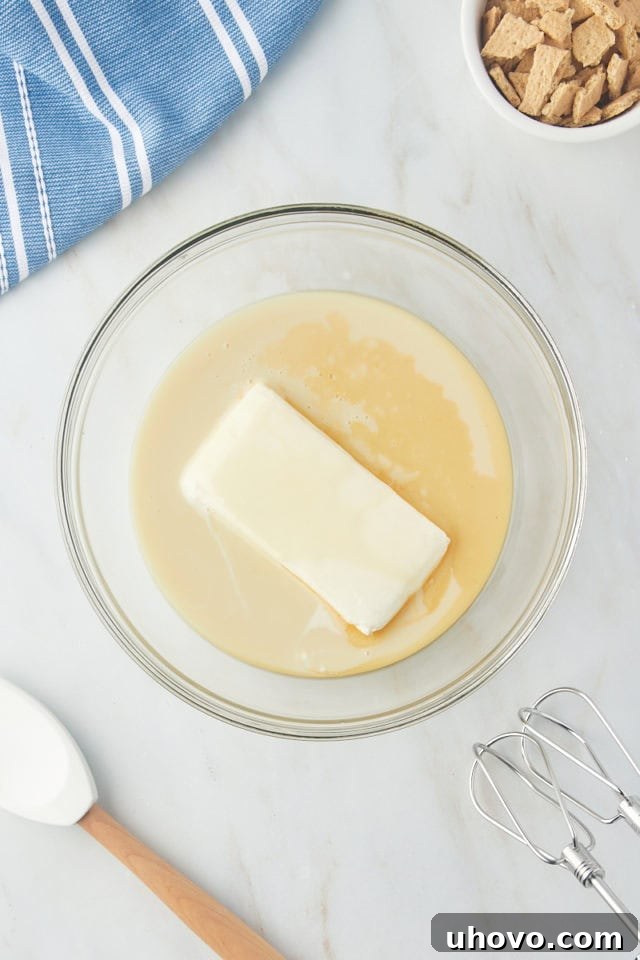 Cream cheese, sweetened condensed milk, and vanilla extract placed together in a clear glass mixing bowl, ready to be combined for the ice cream base.